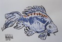 carp